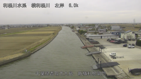 yoko2026011110_image