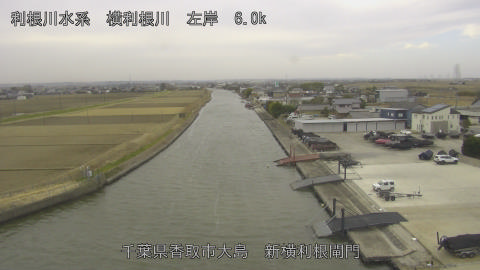 yoko2026011111_image