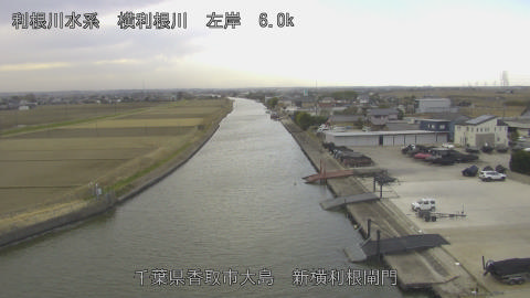 yoko2026011112_image