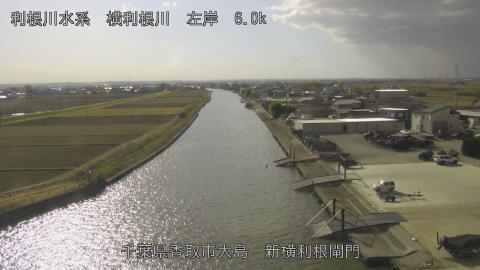 yoko2026011113_image