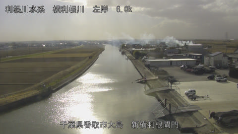 yoko2026011114_image