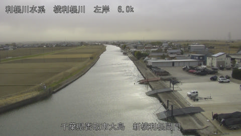 yoko2026011115_image