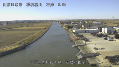 yoko2026011210_image