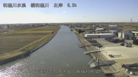 yoko2026011212_image