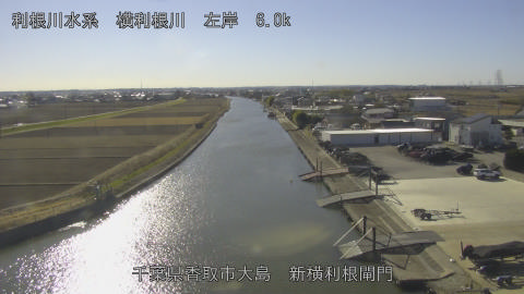 yoko2026011213_image