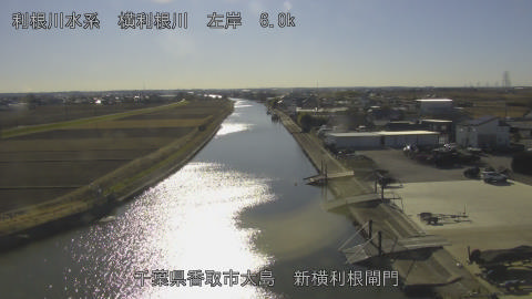 yoko2026011214_image