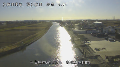 yoko2026011215_image