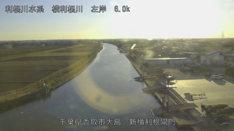 yoko2026011216_image