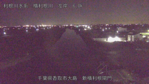 yoko2026011221_image