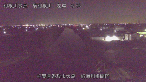 yoko2026011222_image