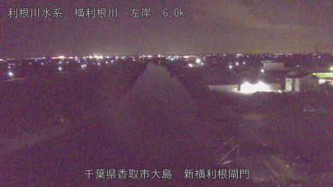 yoko2026011223_image