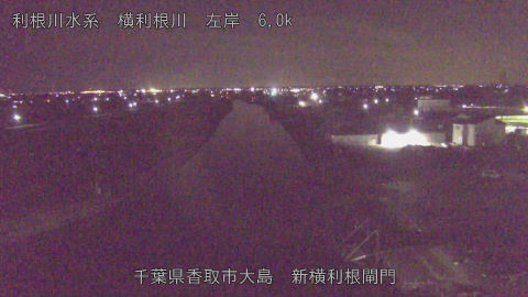 yoko2026011300_image