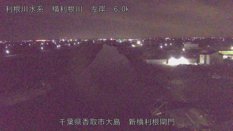 yoko2026011301_image