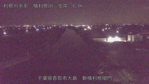 yoko2026011302_image