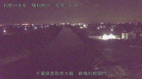 yoko2026011303_image