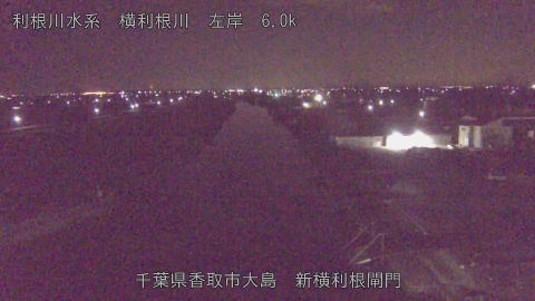 yoko2026011304_image