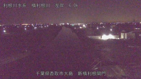 yoko2026011305_image