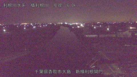 yoko2026011306_image