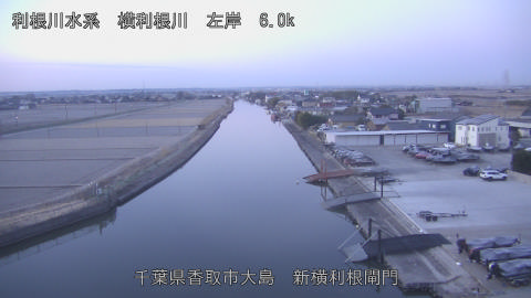 yoko2026011307_image