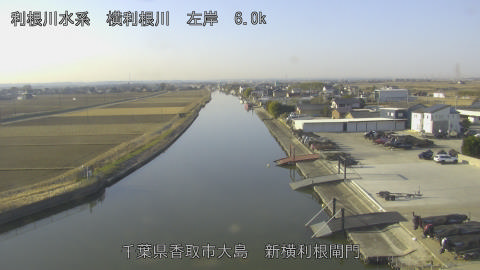 yoko2026011309_image