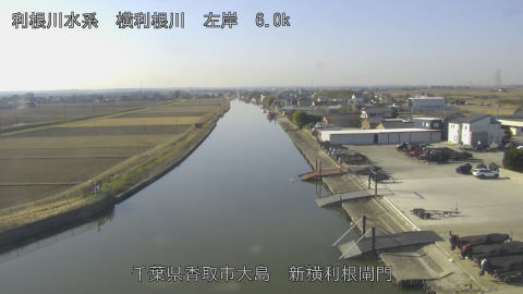 yoko2026011310_image