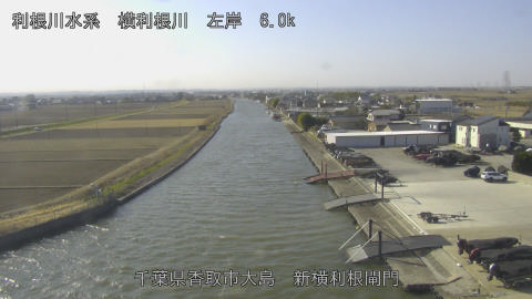 yoko2026011311_image