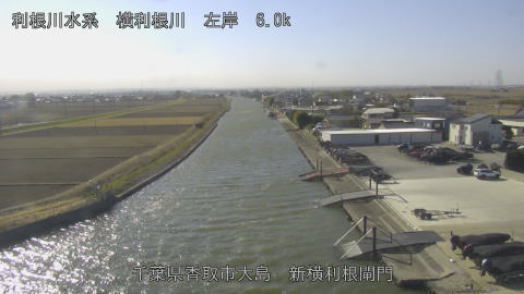 yoko2026011312_image