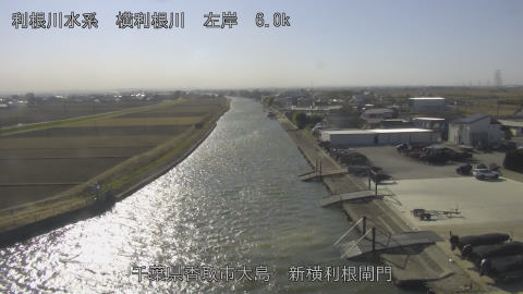 yoko2026011313_image