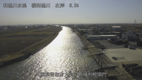 yoko2026011314_image