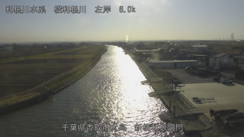 yoko2026011315_image