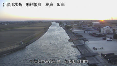 yoko2026011317_image