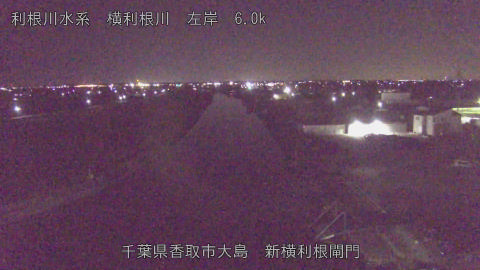 yoko2026011400_image