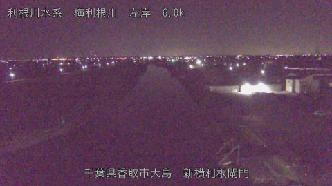 yoko2026011402_image