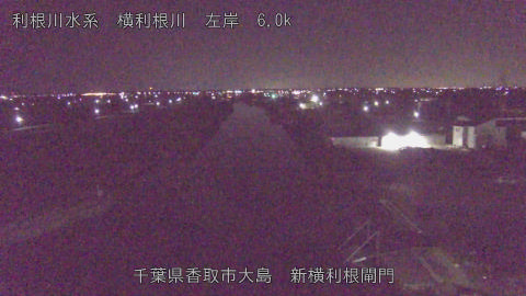 yoko2026011403_image