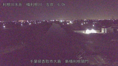 yoko2026011404_image