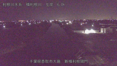 yoko2026011405_image