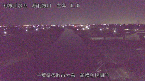 yoko2026011406_image