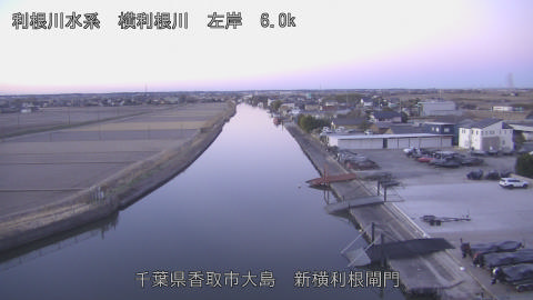 yoko2026011407_image