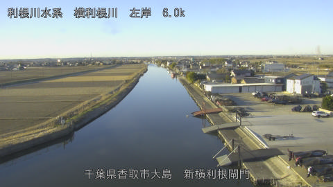 yoko2026011408_image