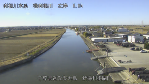 yoko2026011409_image