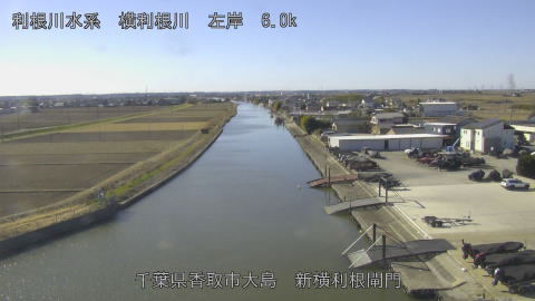 yoko2026011411_image