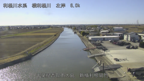 yoko2026011412_image