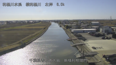 yoko2026011413_image