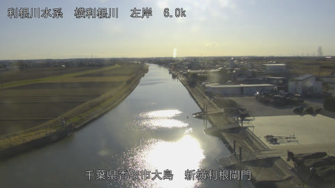 yoko2026011415_image