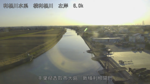 yoko2026011416_image