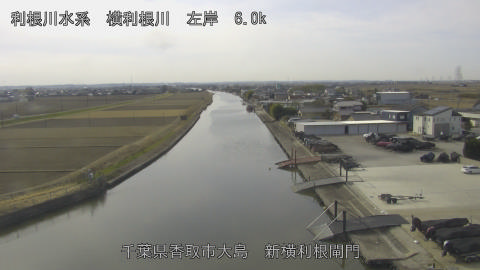 yoko2026011512_image