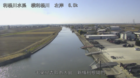 yoko2026011612_image