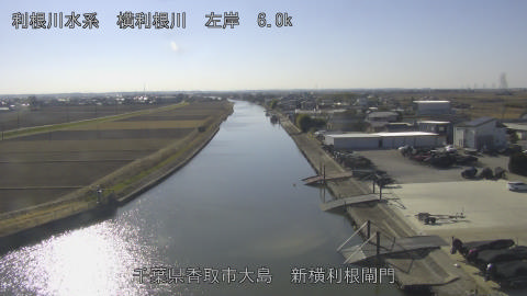 yoko2026011613_image