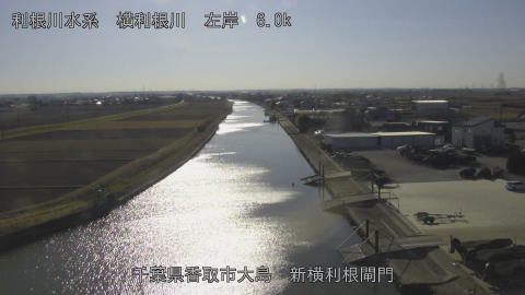 yoko2026011614_image