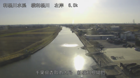 yoko2026011615_image